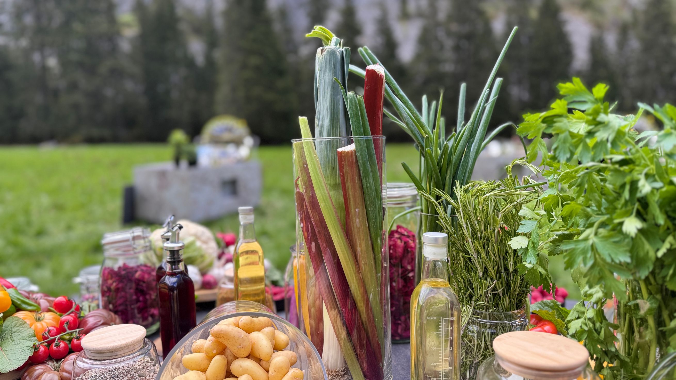 Ici Tout Commence - Décor 6 - Gilles Graziano Chef Décorateur